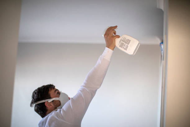 Best Certified Mold Removal  in Cudahy, WI